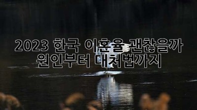 💔 2023 한국 이혼율, 괜찮을까? 원인부터 대처법까지! 🔍